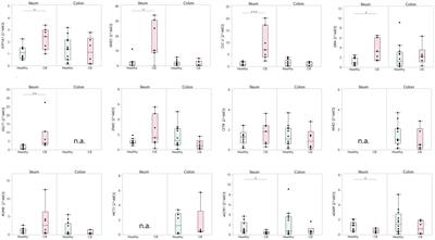 Dysregulation of intestinal epithelial electrolyte transport in canine chronic inflammatory enteropathy and the role of the renin-angiotensin-aldosterone-system